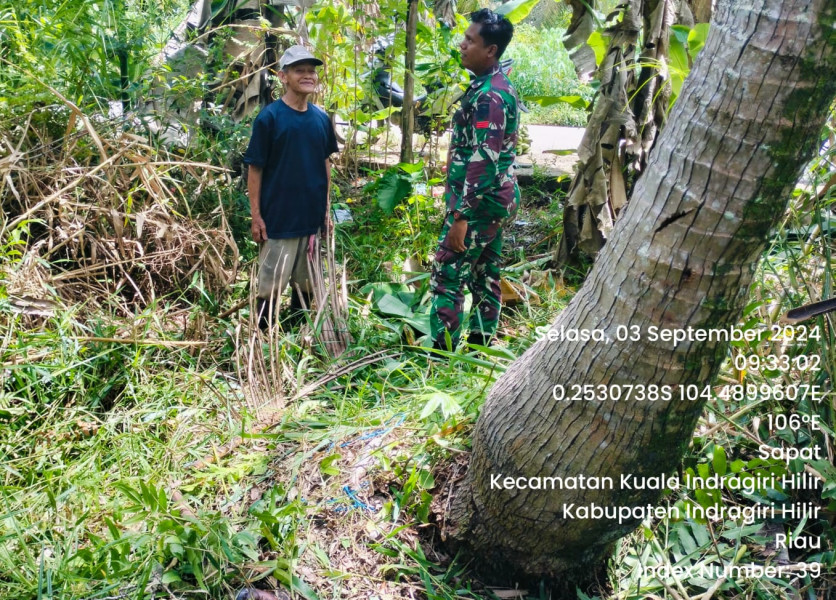 Babinsa Koramil 04/Kuindra Tingkatkan Kewaspadaan Terhadap Lahan dan Hutan Guna Cegah Kebakaran di Binaan