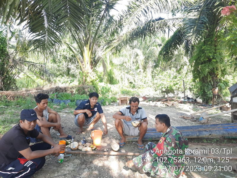 Nikmati Buah Kelapa Muda, Babinsa 03/Tpl Komsos Dengan Tokoh Pemuda Di Desa Binaan