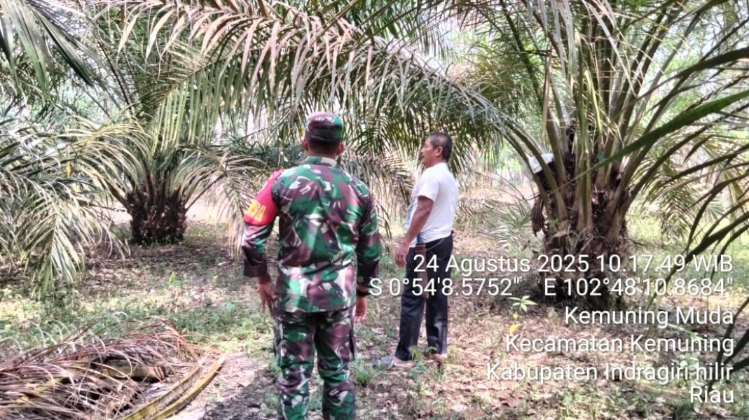 Terus Siaga, Babinsa Koramil 09/Kemuning Rutin Laksanakan Patroli Karhutla