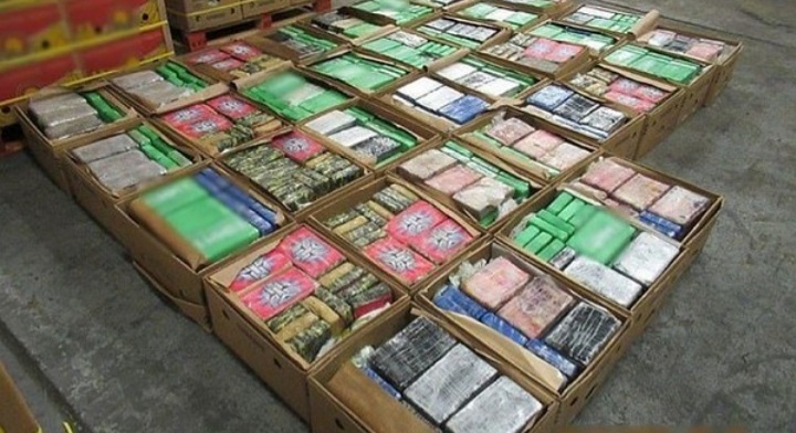 Polisi Berhasil Amankan 1 Ton Narkoba Dikirim dalam Kontainer Berisi Pisang