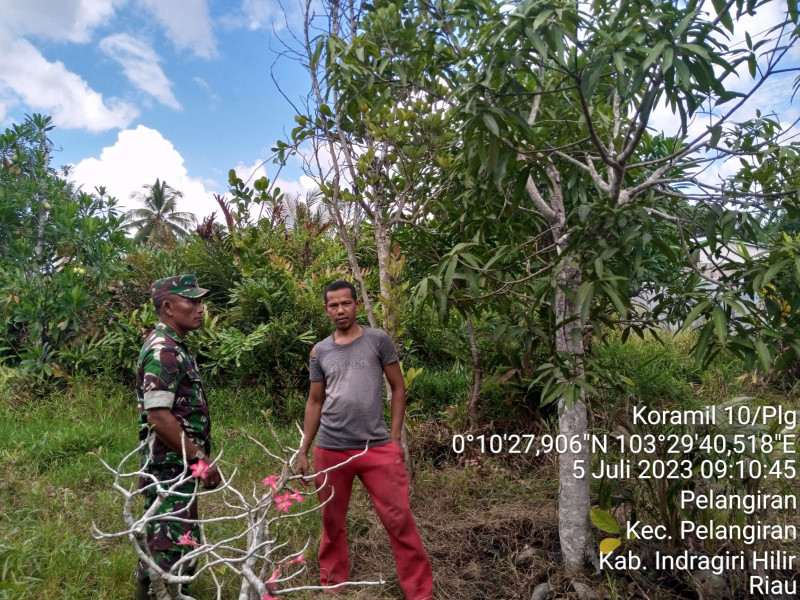 Bersama Masyarakat, Babinsa Koramil 10/Pelangiran Terus Lakukan Pemantauan Terhadap Karlahut