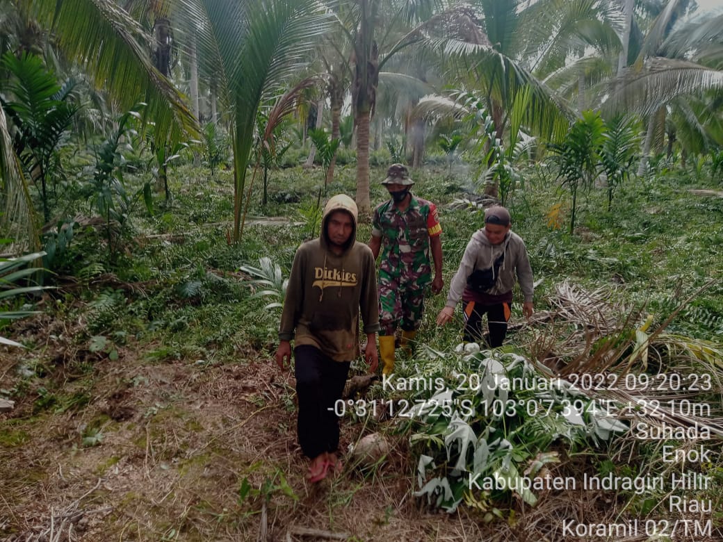 Babinsa Koramil 02/Tanah Merah Melakukan Patroli Karhutla di Suhada