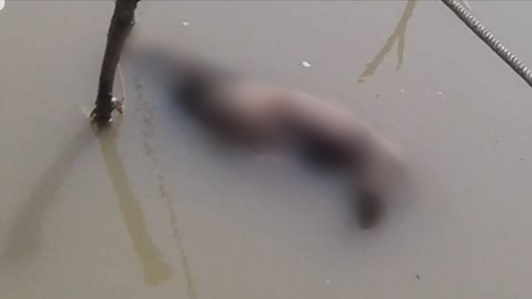 Tragis, Pria 48 Tahun Ditemukan Mengapung Tak Bernyawa Di Sungai Indragiri