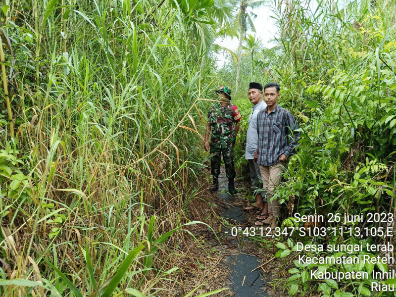 Terus Lakukan Pemantauan Terhadap Karhutla Oleh Babinsa Koramil 07/Reteh