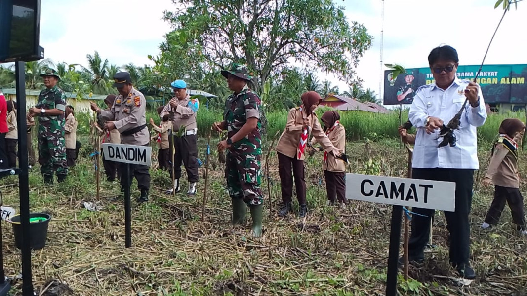 Penanaman Mangrove Secara Serentak Dandim 0314/Inhil Letkol Inf Fikky Nur Kuncoro Jati SH MHan, Ikut Langsung Turun Ke Lokasi