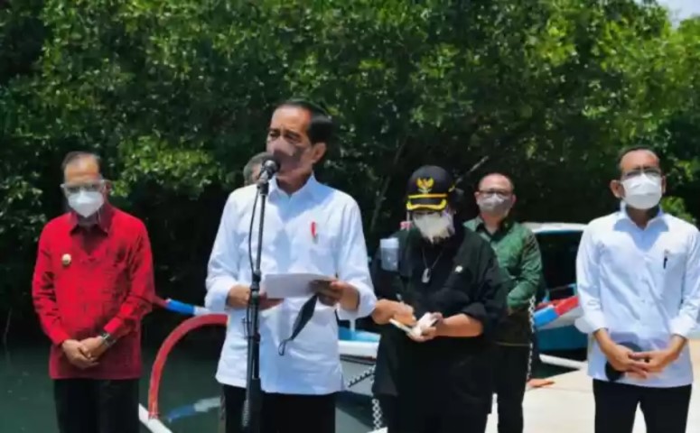 Di KTT G20, Jokowi Ingin Tunjukkan Kemampuan Indonesia dalam Tangani Covid-19