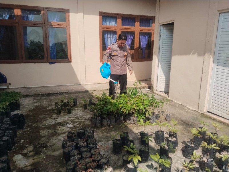 Polsek Keritang Kawal Ketahanan Pangan, Aiptu Untung Rutin Cek Perkembangan Bank Pohon