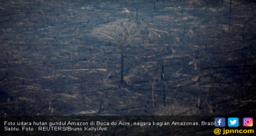 Tujuh Negara Bersepakat Melindungi Amazon