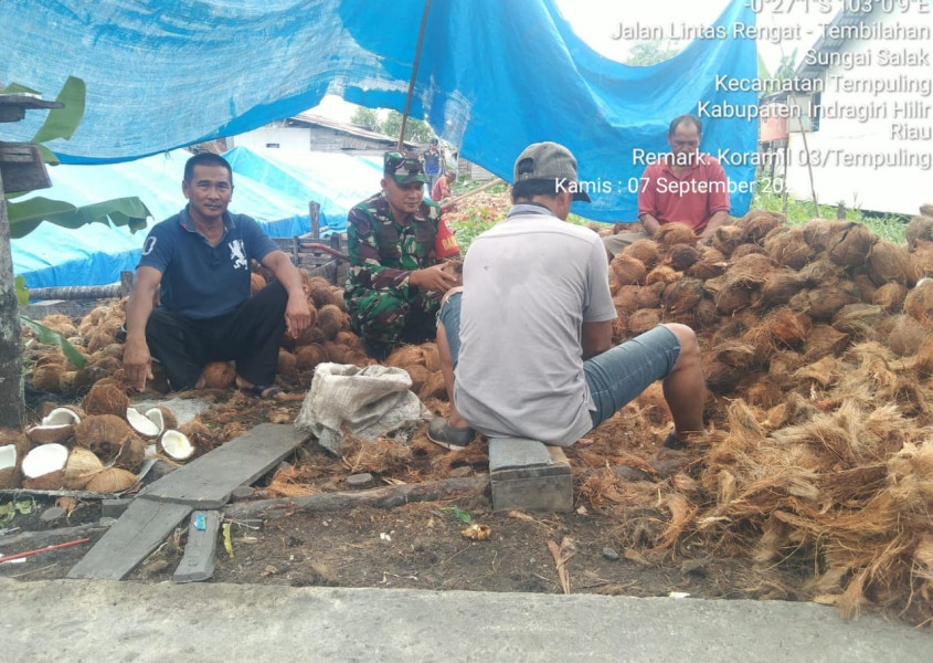 Komsos Dengan Kelompok Tani Kelapa, Ini Penyampaian Babinsa 03/Tpl