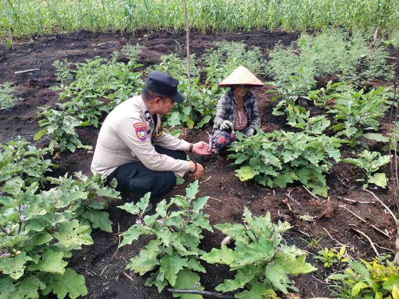 Kapolsek Keritang Instruksikan Bhabinkamtibmas Dukung Program Ketahanan Pangan di Desa Lintas Utara