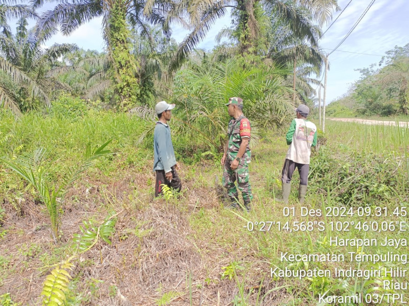 Patroli Karlahut di Wilayah Binaan, Babinsa Koramil 03/Tpl : Tidak Ditemukan Titik Api