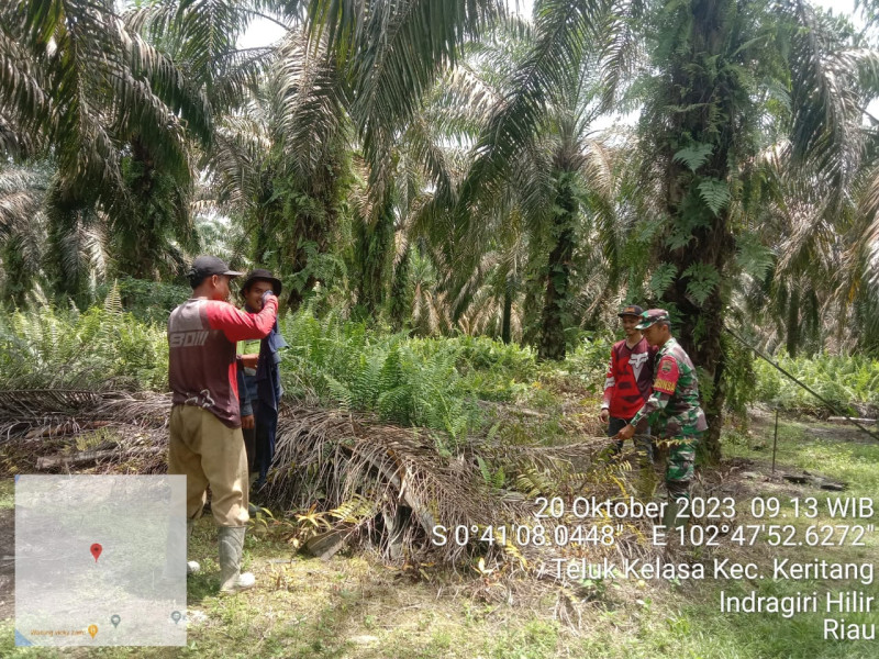 Pencegahan Karhutla Terus Dilakukan Babinsa Koramil 09/Kemuning di Wilayah Desa Teluk Kelasa