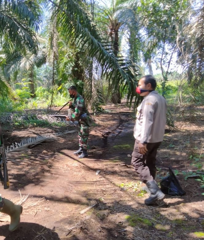 Babinsa 04/Kuindra Lakukan Sosialisasi Bahaya Karhutla