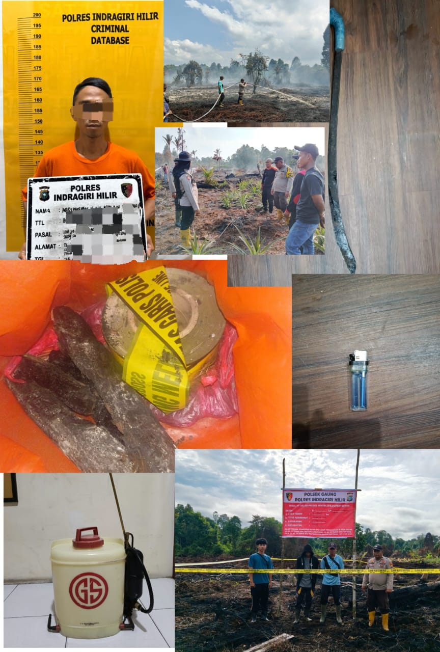 5 Hektare Lahan Gambut Terbakar di Kecamatan Gaung, Polres Inhil Amankan Tersangka