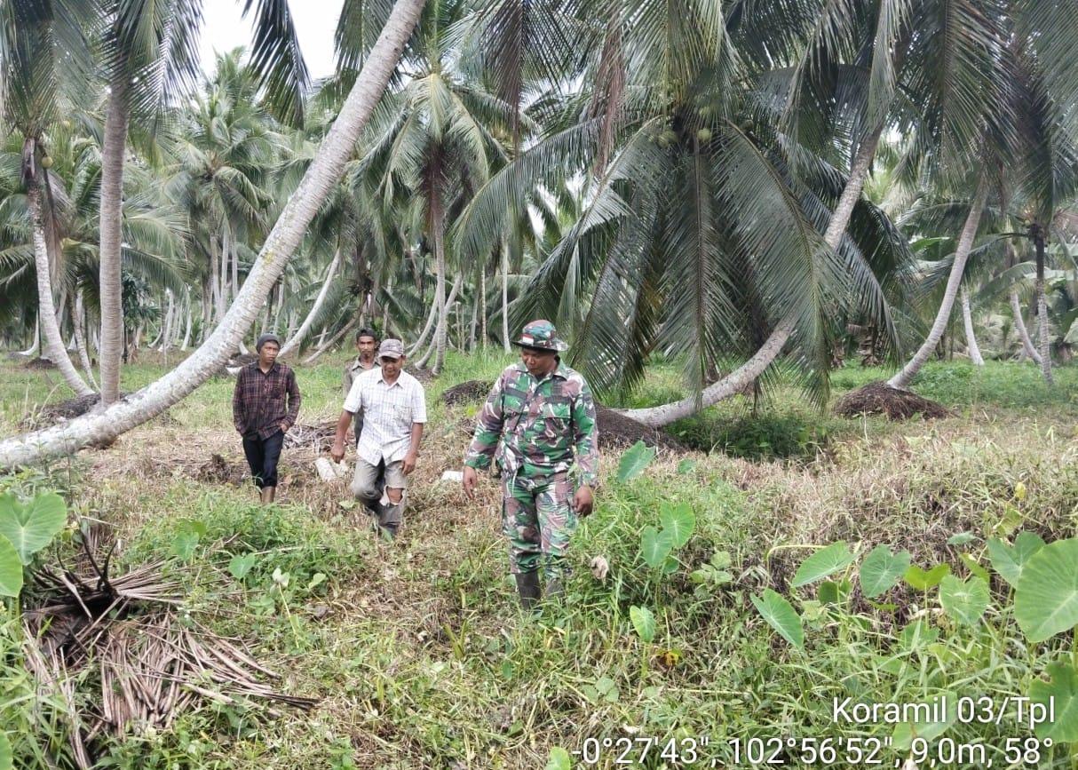 Susuri Kebun Kelapa, Babinsa Koramil 03/Tpl Serma Syamsul Azman dan Warga Patroli Karhutla