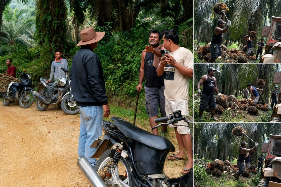 PT Pancawaskita Serahkan Bukti Dugaan Penjarahan TBS, Polisi Sebut Proses Hukum Berjalan