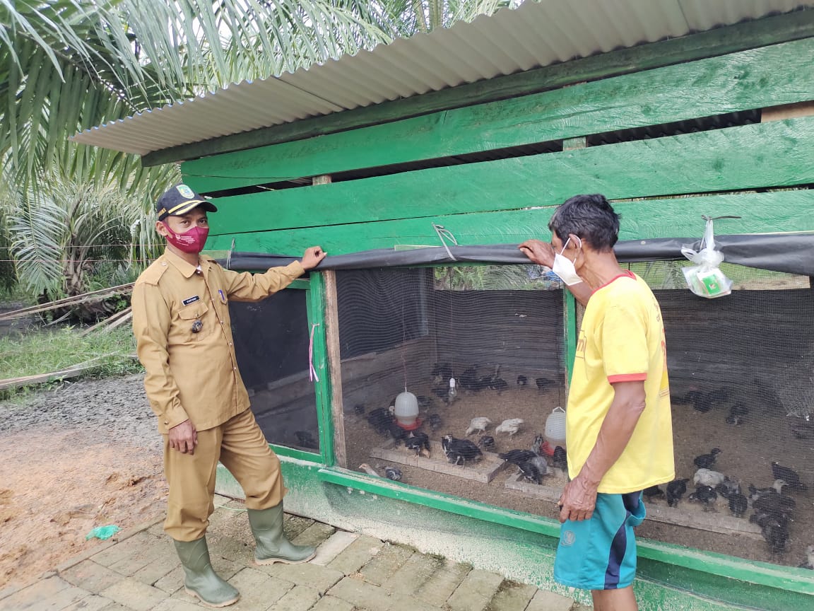 Penghulu Suak Temenggung Apresiasi Demplot Ternak Ayam Program TMMD