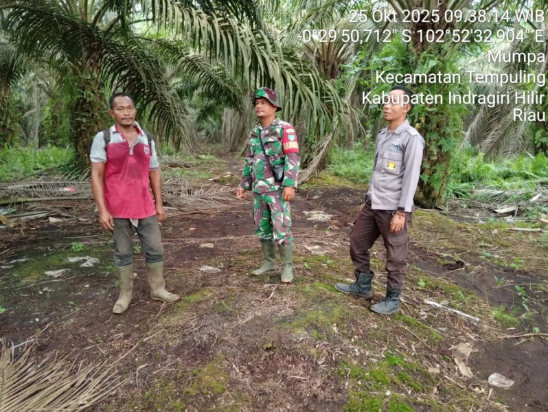 Sertu Pardamaean Siregar Pimpin Patroli Tapal Batas di Desa Mumpa: Api dan Asap Nihil