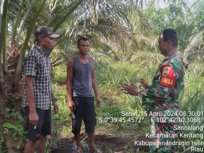 Babinsa Koramil 09/Kmg Berikan Himbauan Agar Tidak Membakar Lahan di Wilayah Binaan