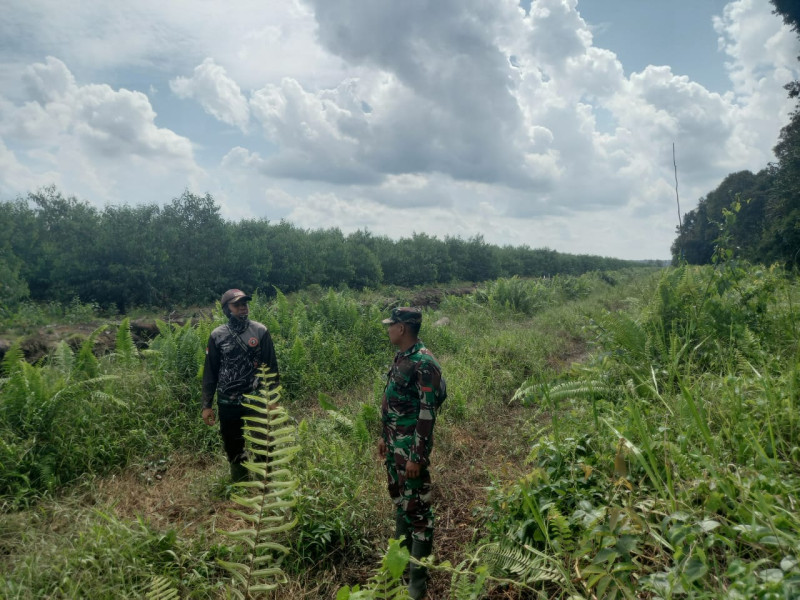 Babinsa 05/Gas Pratu Sandi Wahyudi Gencar Laksanakan Patroli Karlahut