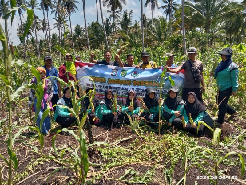 Desa Harapan Makmur Gelar Panen Jagung, Kades Abdul Sani: Ini Bukti Keseriusan Kami dalam Meningkatkan Ketahanan Pangan