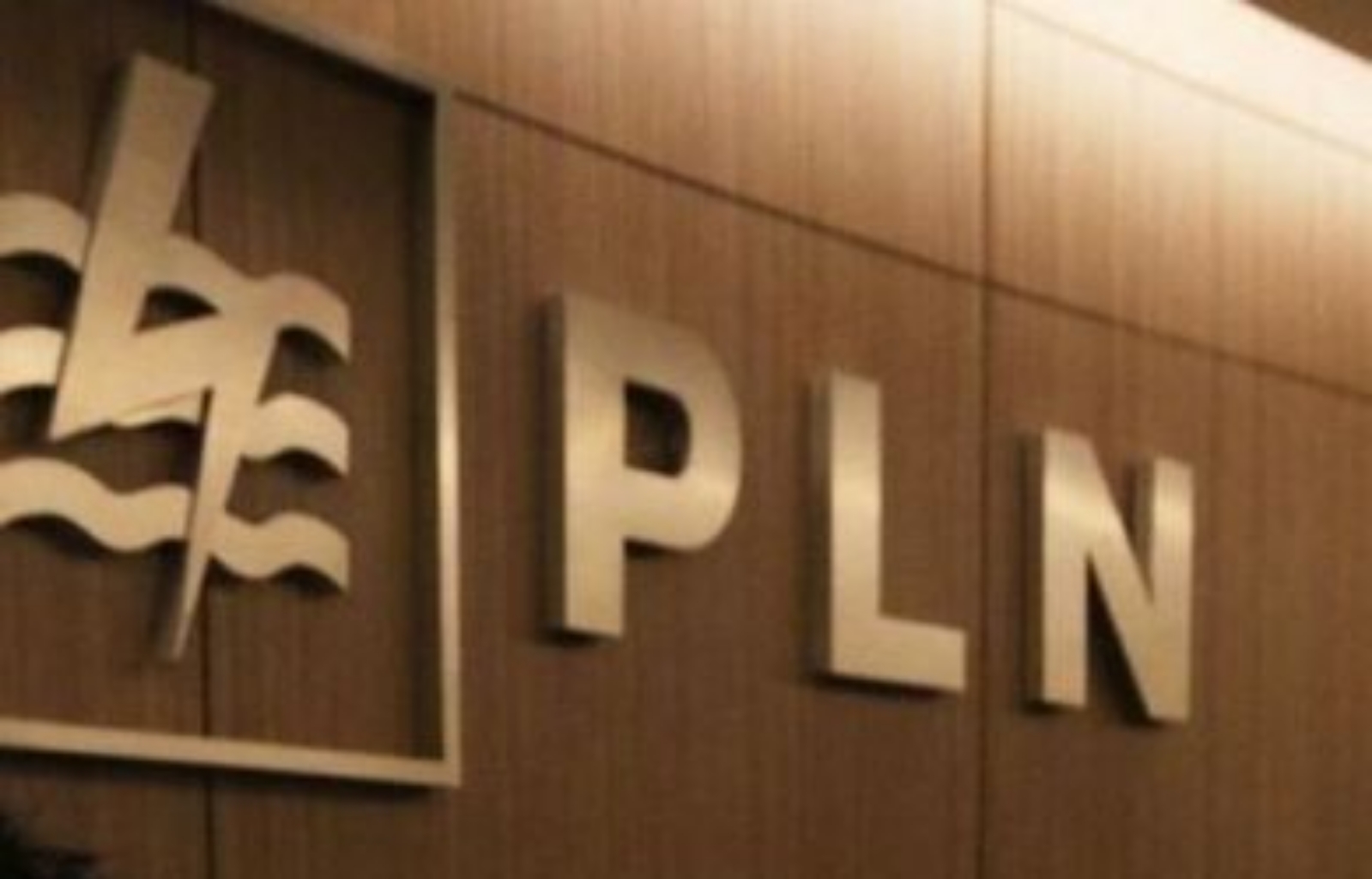 PLN Siap Dukung Kebijakan Jokowi: Tak Perlu Khawatir Pakai Listrik di Musim Sulit