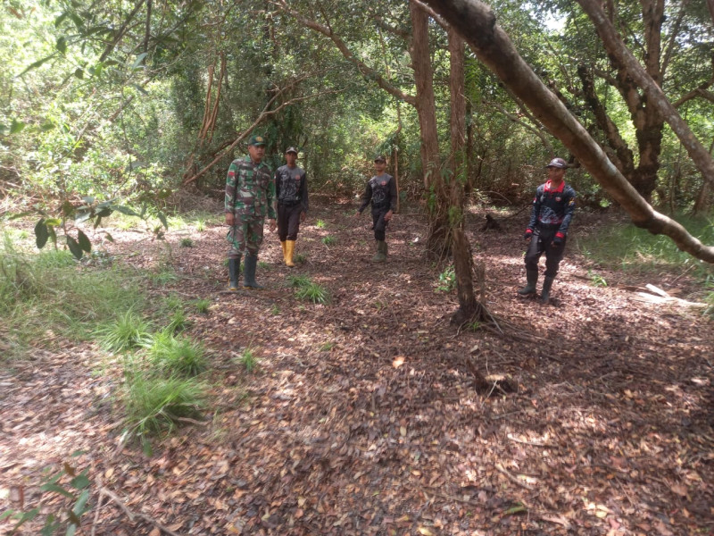 Cegah Kebakaran Hutan Babinsa Koramil 05/Gas Laksanakan Patroli Di Lahan Rawan Kebakaran di Desa Binaan