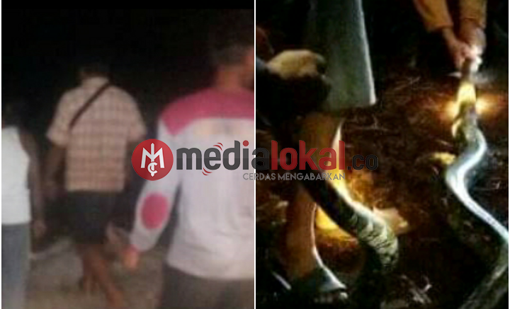 Sudah 3 Hari Kakek di Teluk Kiambang ini Hilang, Warga Temukan Ular 3 Meter