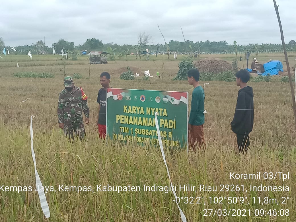 Bahas Perencanaan Panen Padi, Babinsa 03/Tempuling Lakukan Komsos Dengan Petani