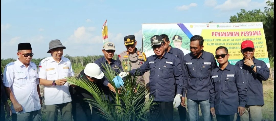 Bupati Inhil Tanam Perdana Kelapa Sawit PKSP di Desa Harapan Jaya