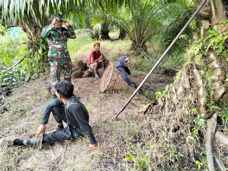 Babinsa 05/Gas Pratu Sandi Wahyudi Gencar Laksanakan Patroli Hutan Dan Lahan
