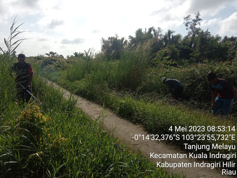 Bersihkan Bahu Jalan Di Komplek Tran Tanjung Bersama Babinsa Koramil 04/Kuindra