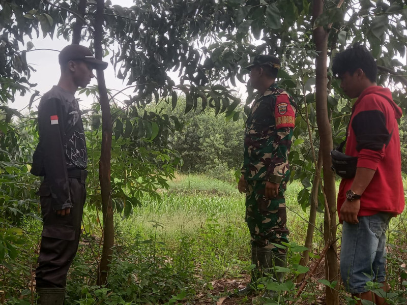 Babinsa Koramil 05/Gas Pratu Sandi Wahyudi Rutin Laksanakan Patroli Karhutla