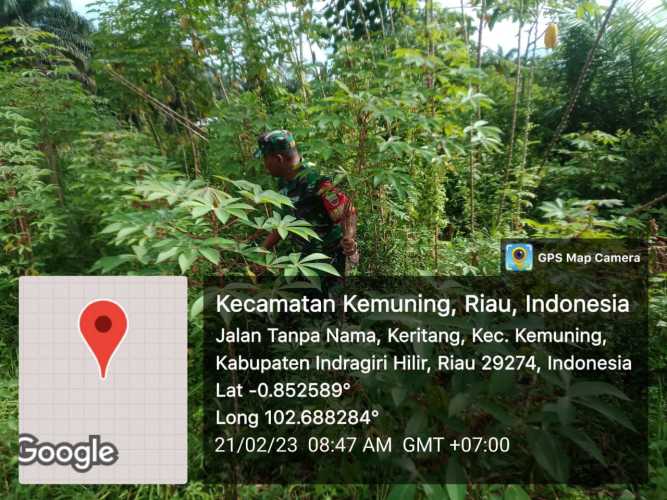 Koramil 09/Kemuning Giat Lakukan Pembersihan Gulma di Wilayah