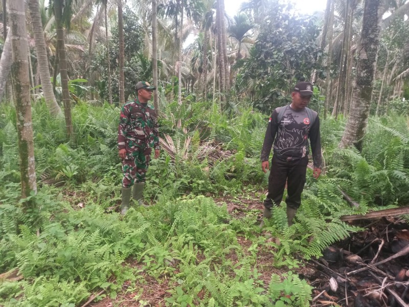Cegah Karhutla, Babinsa Koramil 05/Gas Gelar Patroli Lahan Rawan Kebakaran Dengan Warga