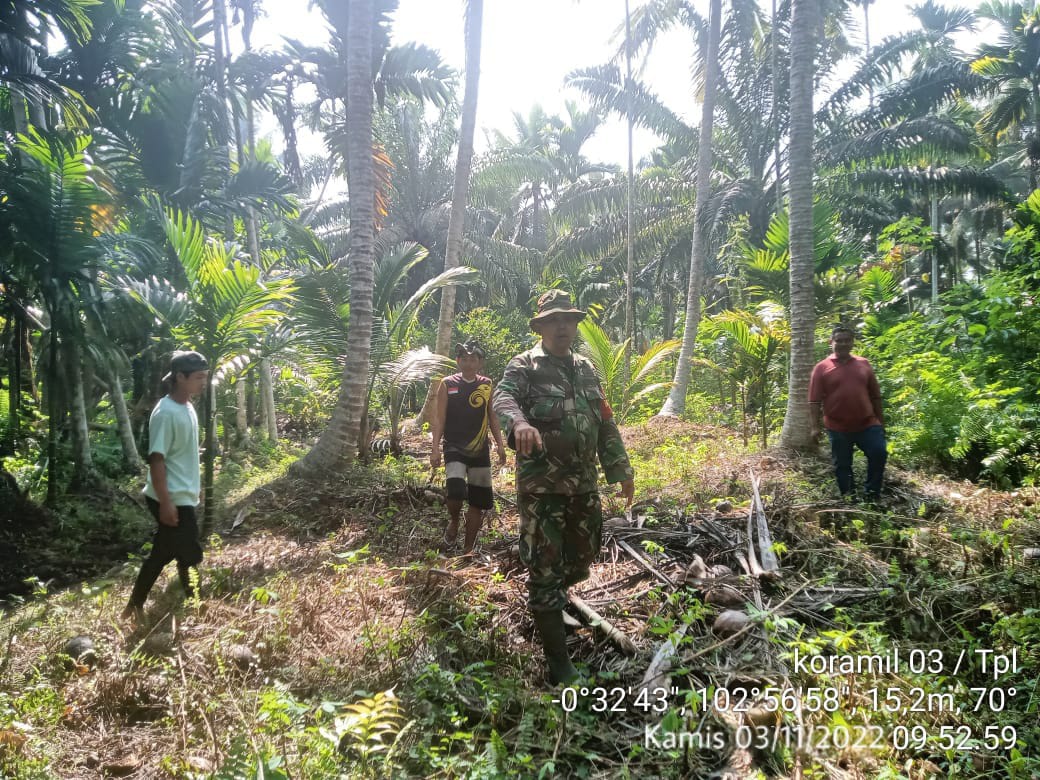 Kewaspadaan Kebakaran Hutan Terus Ditingkatkan Babinsa 03/Tempuling Meskipun Sering Hujan