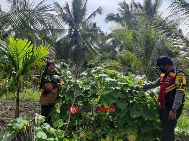 Bhabinkamtibmas Desa Kuala Gaung Gencarkan Perawatan Hanpangan