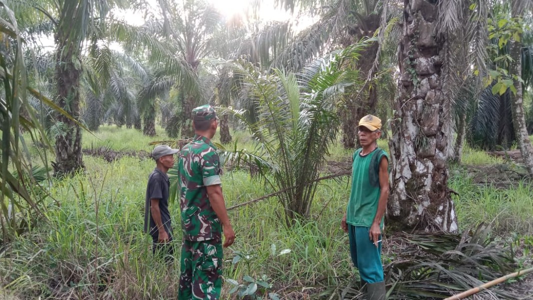 Serka Yadi Yanto Patroli Tapal Batas di Benteng Utara, Himbau Warga Jangan Bakar Lahan