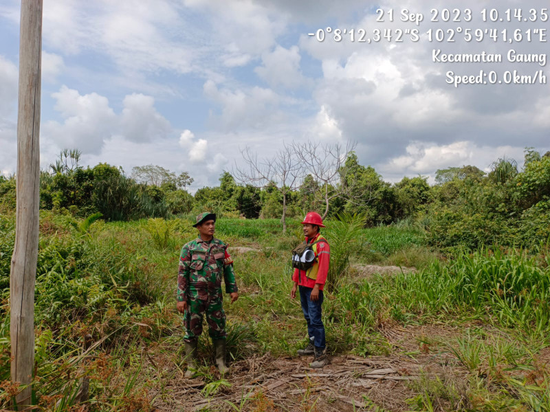 Bhabinsa 05/Gas Gencar Laksanakan Patroli Hutan Dan Lahan