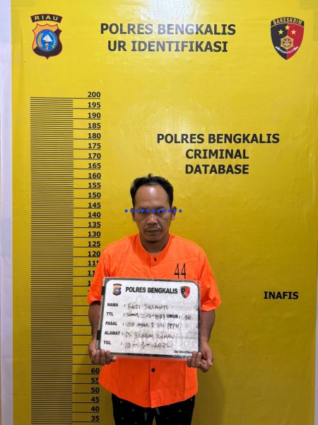 Ungkap Kasus Illegal Logging di Siak Kecil, Satu Pelaku Diamankan Polres Bengkalis