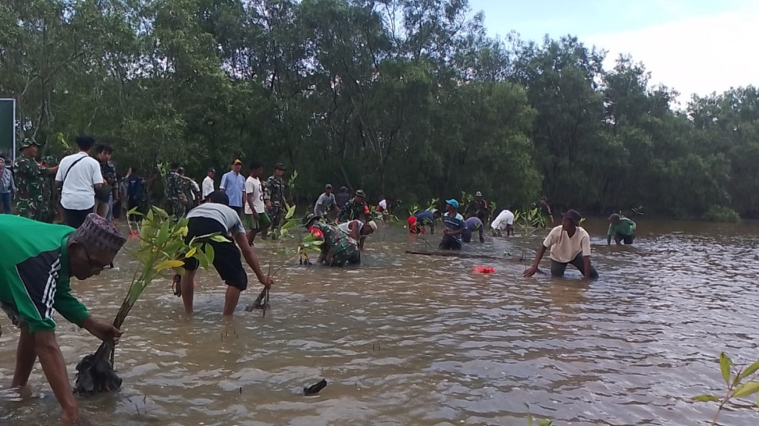 Kegiatan Penanaman Mangrove di Wilayah Kodim 0314/Inhil Koramil 04/Kdr