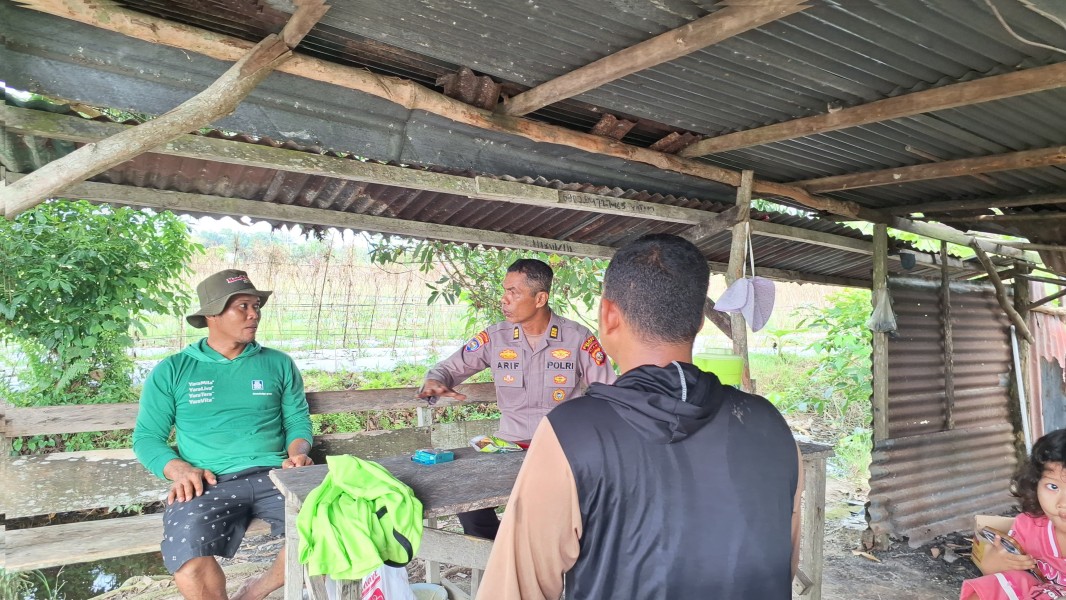 Dalam Rangka Mendukung Program Ketahanan Pangan, Kanit Binmas Polsek Siak Laksanakan Pengecekan dan Koordinasi Bersama Petani