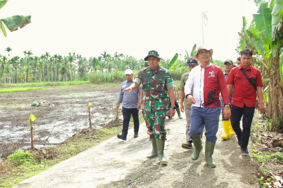 Pastikan Kesiapan Gerakan Tanam Padi Serentak 3000 Ha, Pj Bupati Herman Tinjau Lokasi Penanaman di Desa Kuala Sebatu