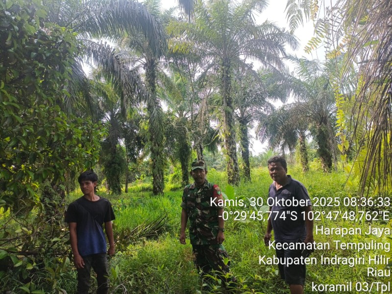 Kopka RH. Tambunan, Babinsa Koramil 03/Tpl, Sikat Habis Potensi Karhutla di Harapan Jaya