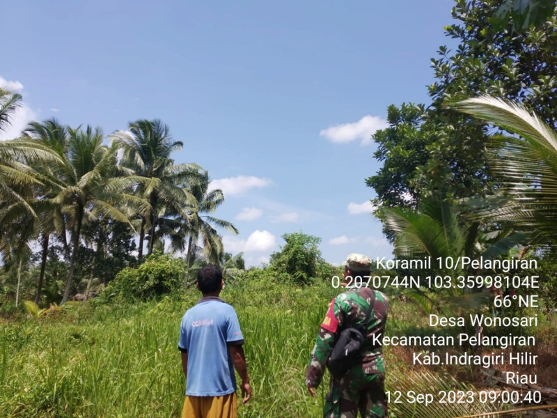 Telusuri Lahan dan Hutan, Babinsa Koramil 10/Pelangiran Mewaspadai Kebakaran