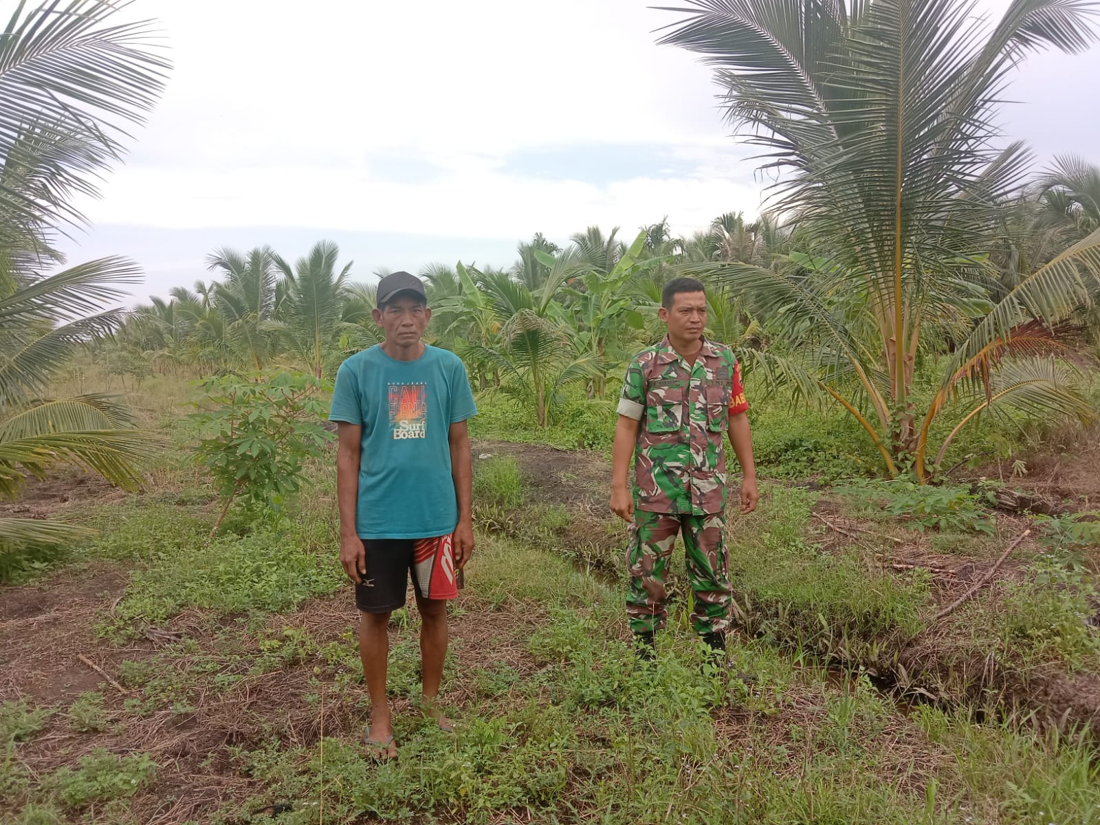 Babinsa Koramil 04/Kuindra Patroli Karlahut Bersama Masyarakat Petani Kelapa