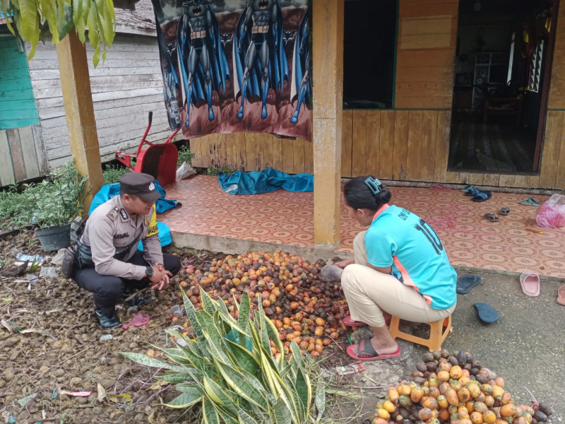 Giat Rutin Bhabinkamtibmas Brigadir Akmaluddin Laksanakan Giat Sambang Di Desa Binaan