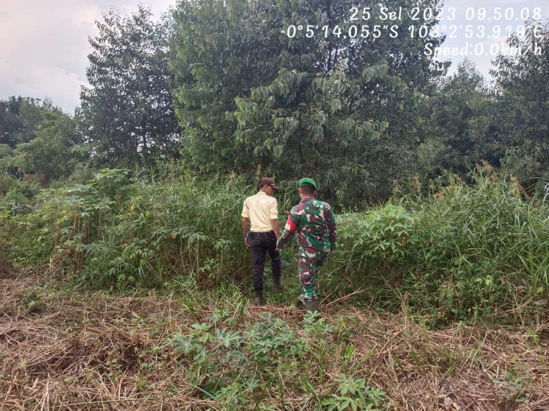 Kopda Chandra Manto Gencar Lakukan Patroli Hutan Dan Lahan Bersama Security