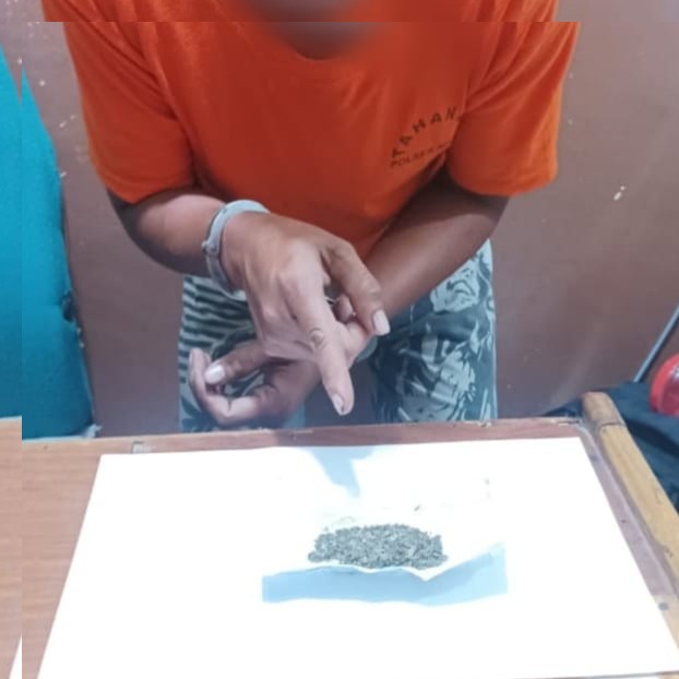Polsek Minas Tangkap Pemilik Ganja Kering 3,56 Gram, Kapolres Siak Tegaskan Komitmen Berantas Narkoba