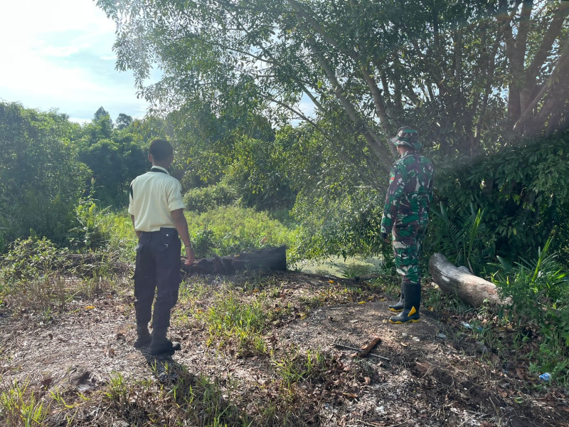 Babinsa 05/Gas Pratu Sandi Wahyudi Terus Laksanakan Patroli Hutan Dan Lahan